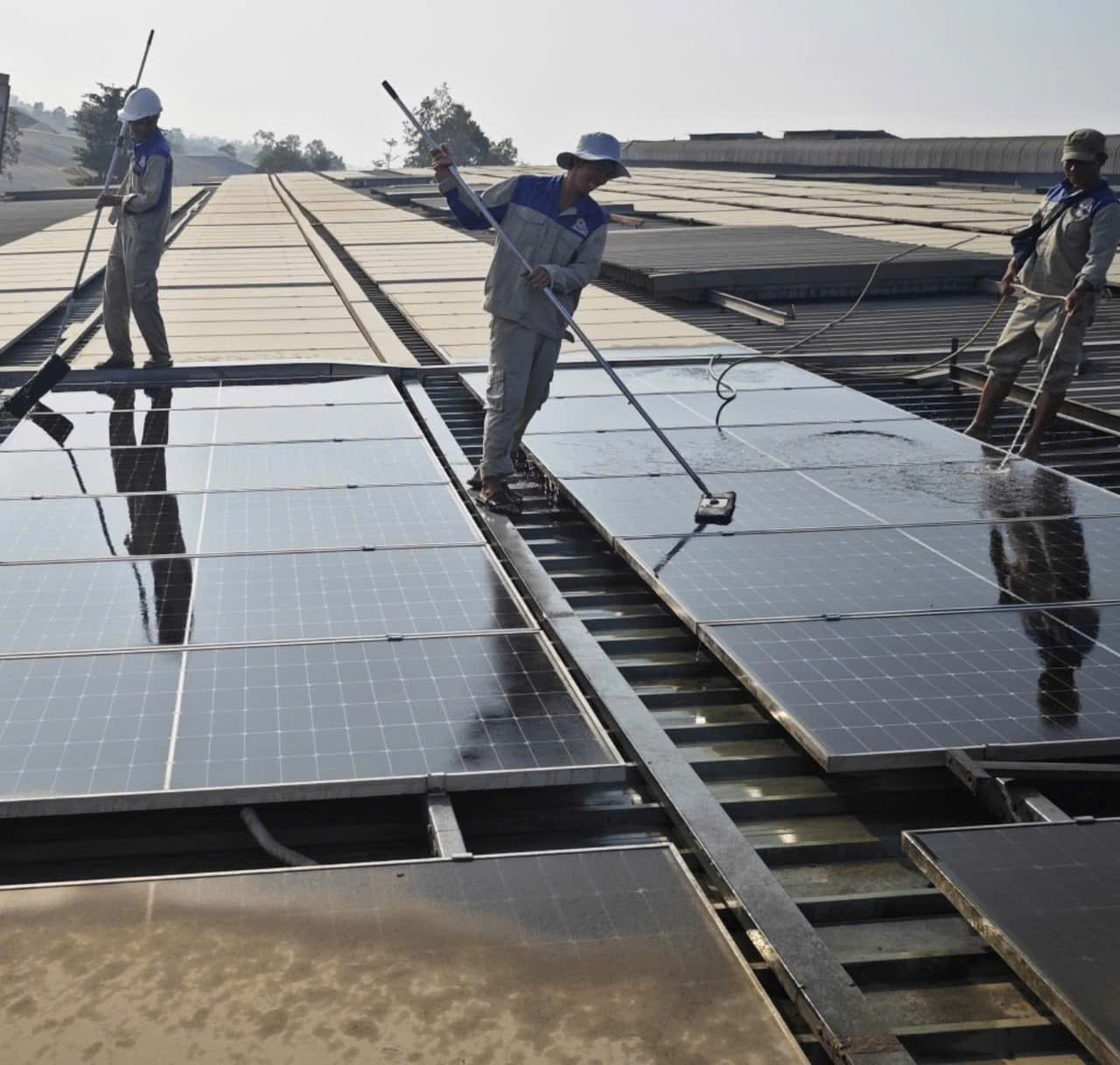 Đội ngũ Quang Lộc